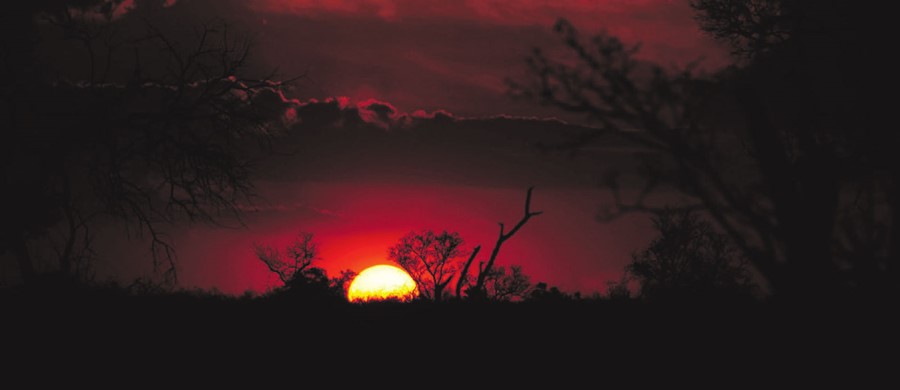 OTHERWORLDLY. Sunsets in Madikwe are spectacular.