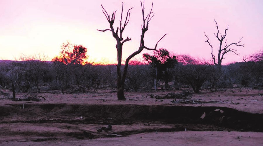 Evenings in Madikwe ENCHANTING