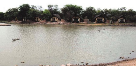 SERENE. Tau Game lodge chalets as seen from across the waterhole.