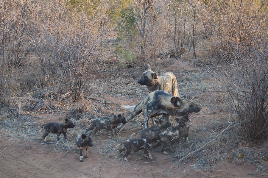 A time of light after darkness - By Michael Rae