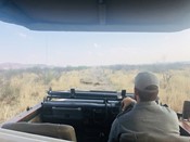 Tau Game Lodge Luxury Facilities Big 5 Game Drives