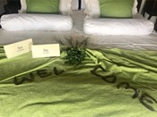 Tau Game Lodge Luxury Facilities 5 Star Accommodation