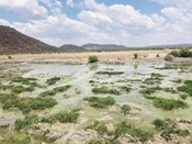 Tau Game Lodge Luxury Facilities Tau Water Hole