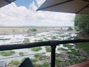 Tau Game Lodge Luxury Facilities Water Hole Viewing Deck