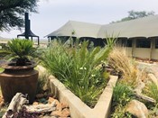 Tau Game Lodge Luxury Facilities Big 5 Game Viewing