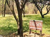 A Complete Experience Meals fit for a King