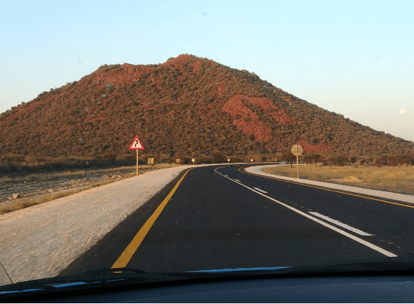 Road leading to Tau Game Lodge