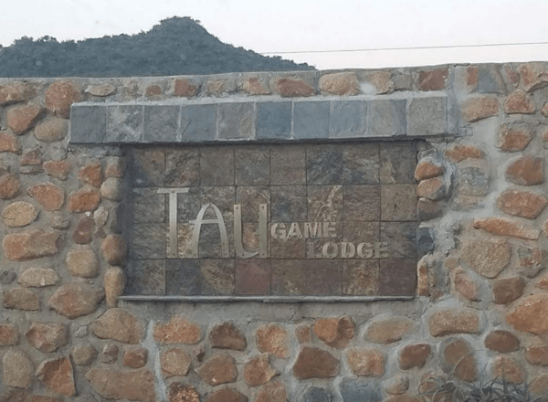 The tug of Tau Game Lodge
