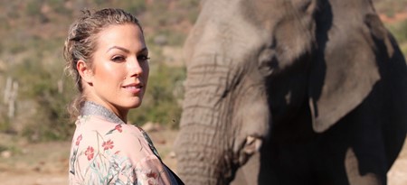 Elephant Interaction Tau Game Lodge Wildlife