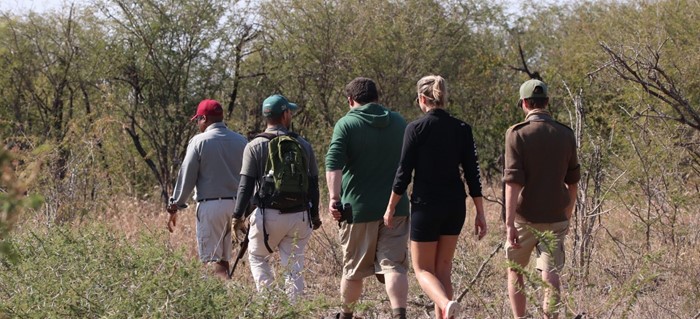 Bush Walk Tau Game Lodge Luxury Safaris