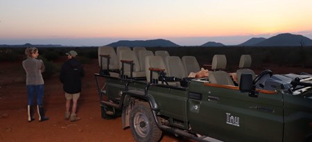 Sunset Game Drive Tau Big 5 Game Viewing